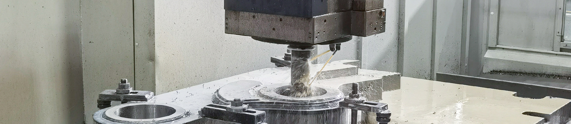 1_0001_IMG_20240313_130359